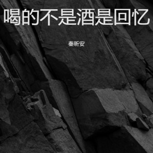 喝的不是酒是回忆