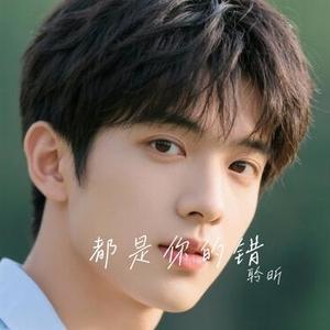 都是你的错（Cover 陈慧琳 & 郑中基）