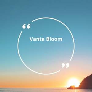 Vanta Bloom