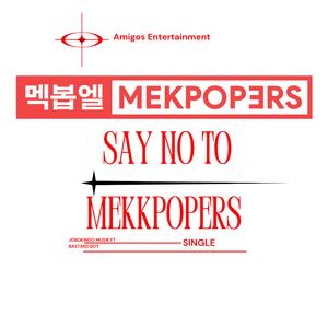 Say no to mekkpopers (feat. Bastard Boy,BTS,IVE,BLACKPINK, NewJeans)