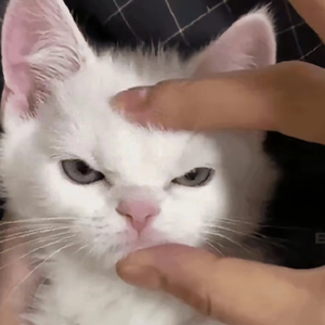 闭嘴![prod.snorkatje]