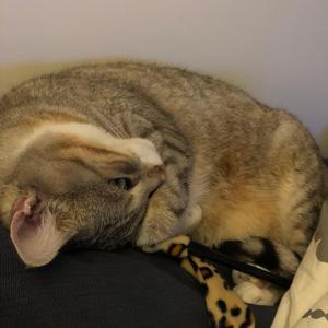 5 (Antoine, le voyage)