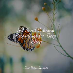 Midsummer's Lullaby Charm