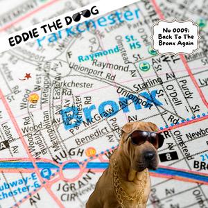 Who Plays This Terrible Strings (Eddie LIVE)