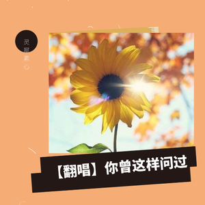 【翻唱】你曾这样问过（翻自 周深）