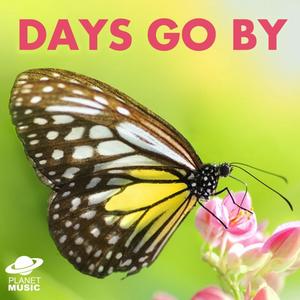 Every Day Is a Winding Road