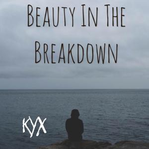 Beauty In The Breakdown