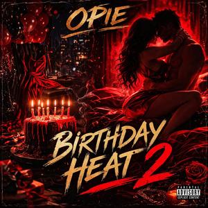 Birthday Heat Pt. 2