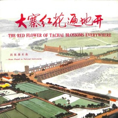 昆仑盛开大寨花