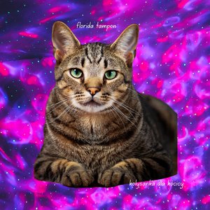 Kołysanka dla kocicy