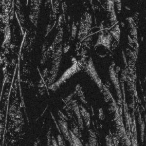 Jumalat Eivät Teitä Kuule