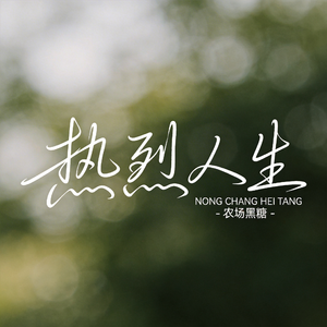 热烈人生 （原版）