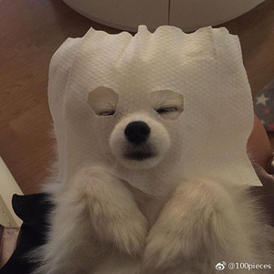 四年半（夏天版）（Cover 周小曼）