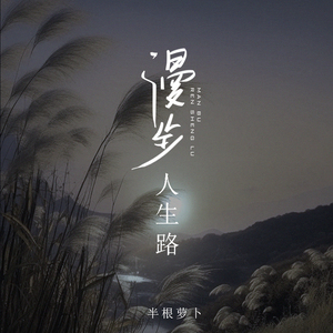 漫步人生路 (女声版)