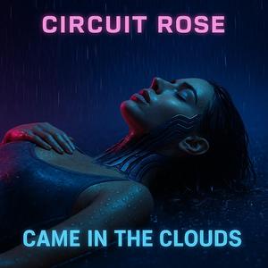 CAME IN THE CLOUDS (feat. AI Prophets) (SEX WITH THE SKY)
