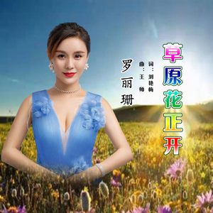 草原花正开