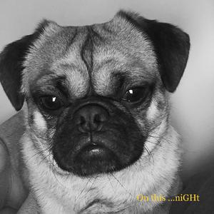 今天晚上你在做什么