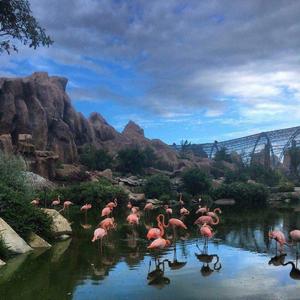 Childish Gambino-Redbone（张雨 remix）