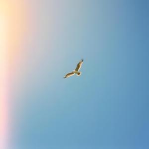 02 시네마틱, 클래식 크로스오버, 기악