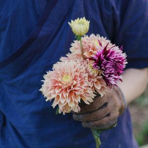 伯牙绝弦（翻自 王力宏）