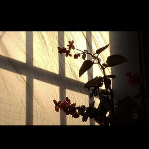 无碍（Prod.by 百川）