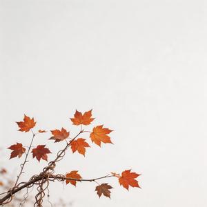 爱不爱我（R&B 版）