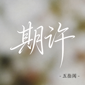 期许（抖音热播版）