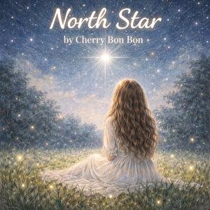 ดาวเหนือ