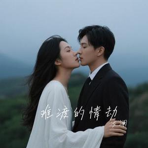 难渡的情劫 (安澜 Remix)