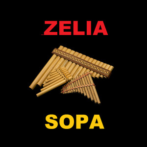 Sopa
