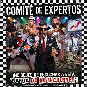Cómite de Expertos