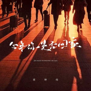 今年你是否回家