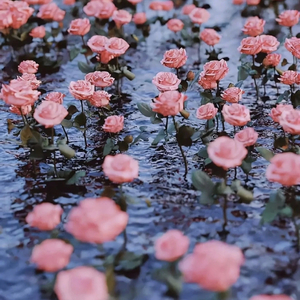 终身孤独 (Cover: 单依纯)