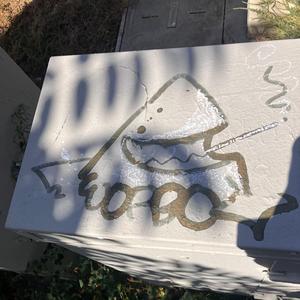 𝙳𝙰𝚁𝙺_𝚂𝙷𝙰𝚁𝙺