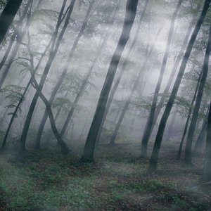 【Free】“雾Stray ”emo pop h3r3 刘清云type beat