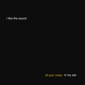 I like the sound of your voice in my hear
