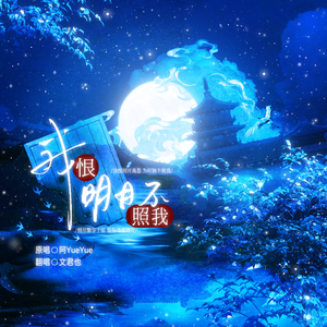 我恨明月不照我