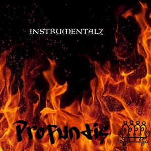 INSTRUMENTALZ