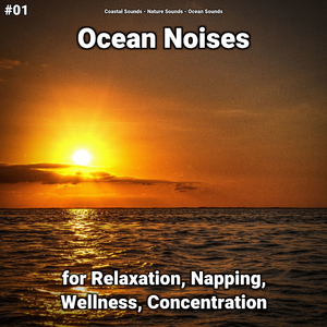 Ocean Noises Part 23