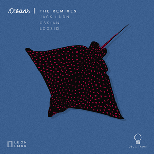 Oceans (Loosid Remix)