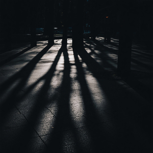 See More Shadows