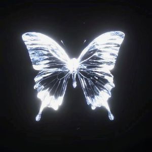 Ms Zhang（prod by Bubbleboy）