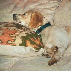 i'm not afraid to fall (into your arms, into your arms)