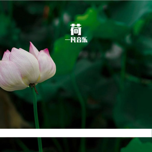 荷