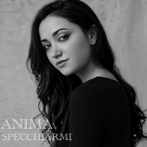 Specchiarmi