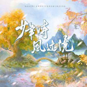 少年时，风过境 伴奏