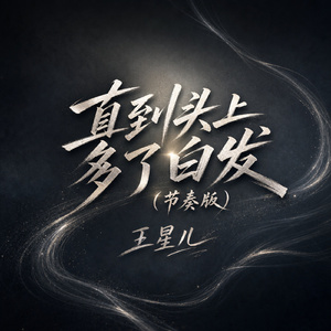 直到头上多了白发(节奏版)