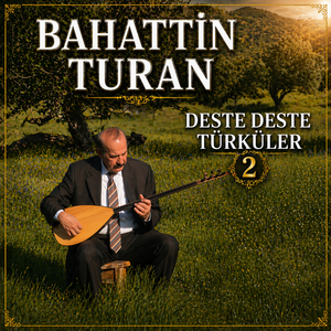 Çarşamba Dedikleri