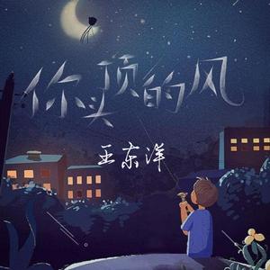 你头顶的风