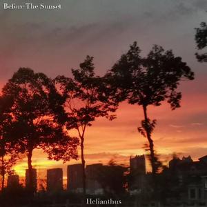 Before the Sunset